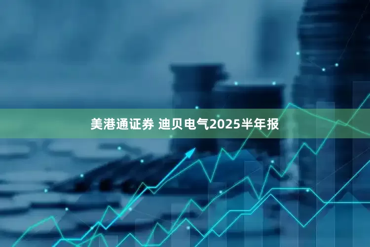 美港通证券 迪贝电气2025半年报