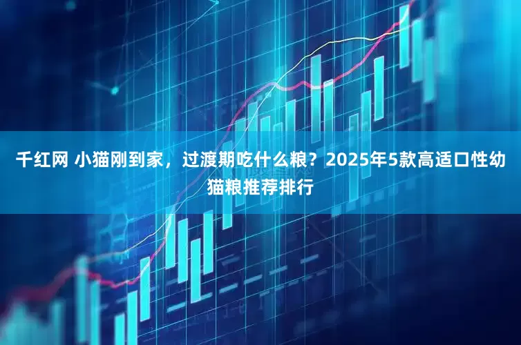 千红网 小猫刚到家，过渡期吃什么粮？2025年5款高适口性幼猫粮推荐排行