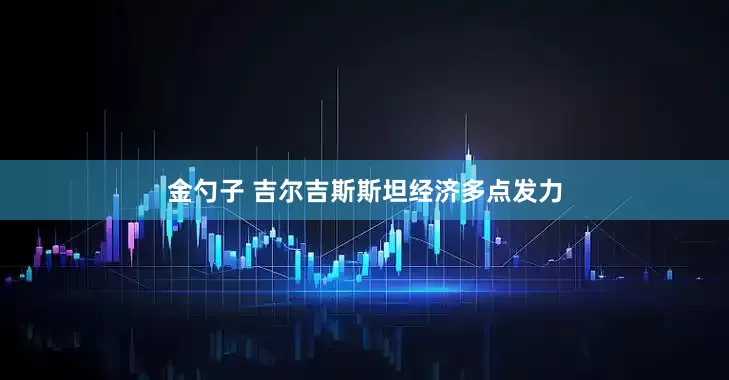 金勺子 吉尔吉斯斯坦经济多点发力